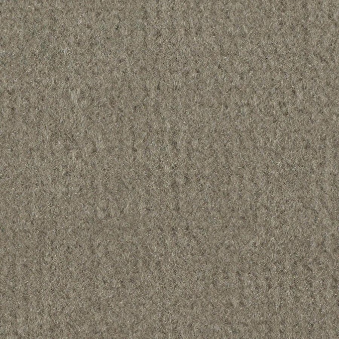 Daystar Taupe Indoor Outdoor Carpet In The Carpet Department At Lowes Com