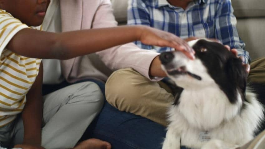 A thumbnail for the video