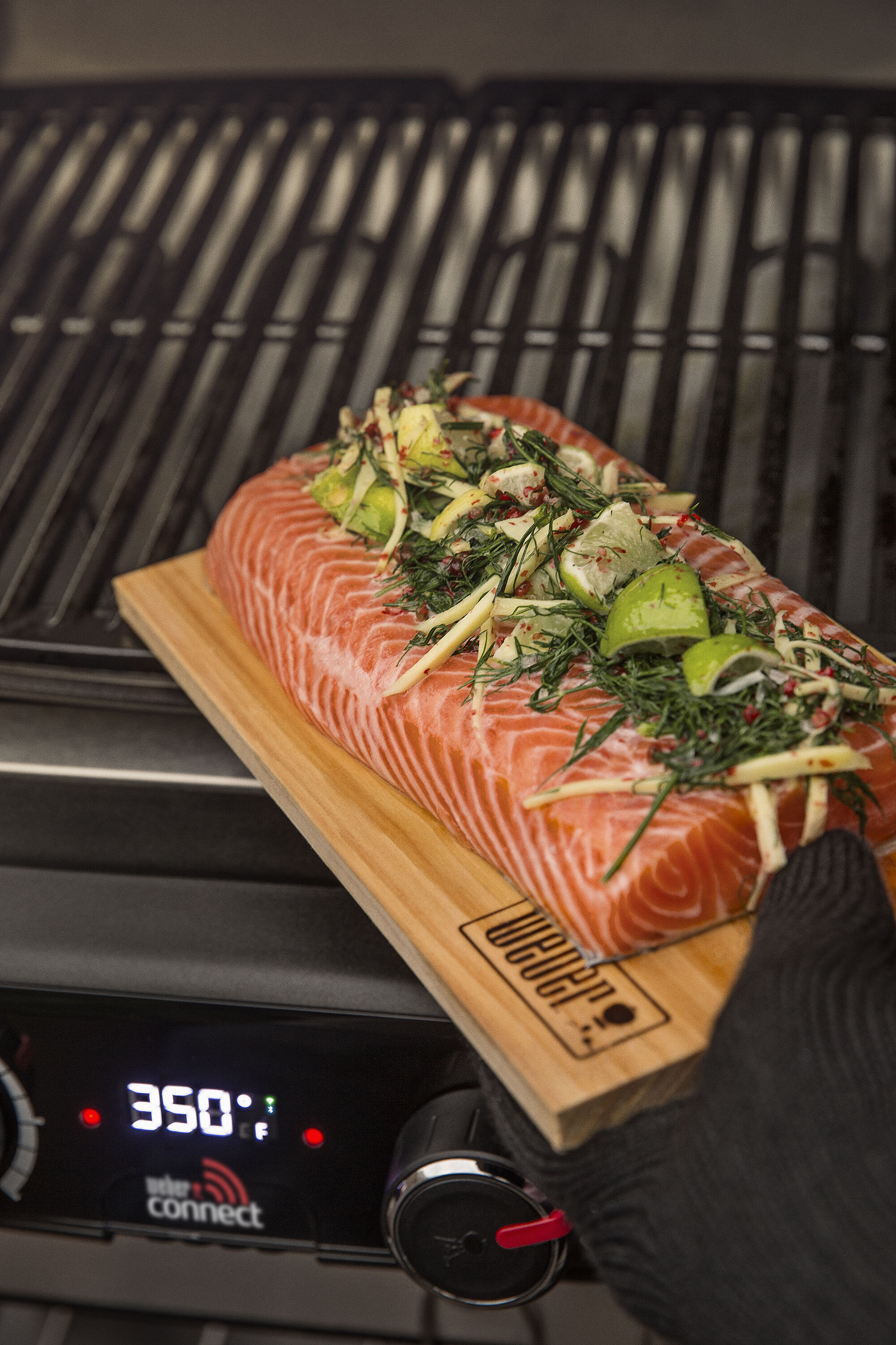 Shop Weber Electric Grill at Lowes.com