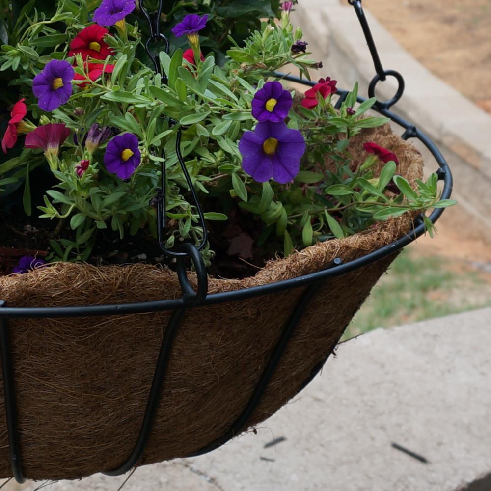 Patio Life 20-in W x 7-in H Black Metal Hanging Planter in the Pots ...