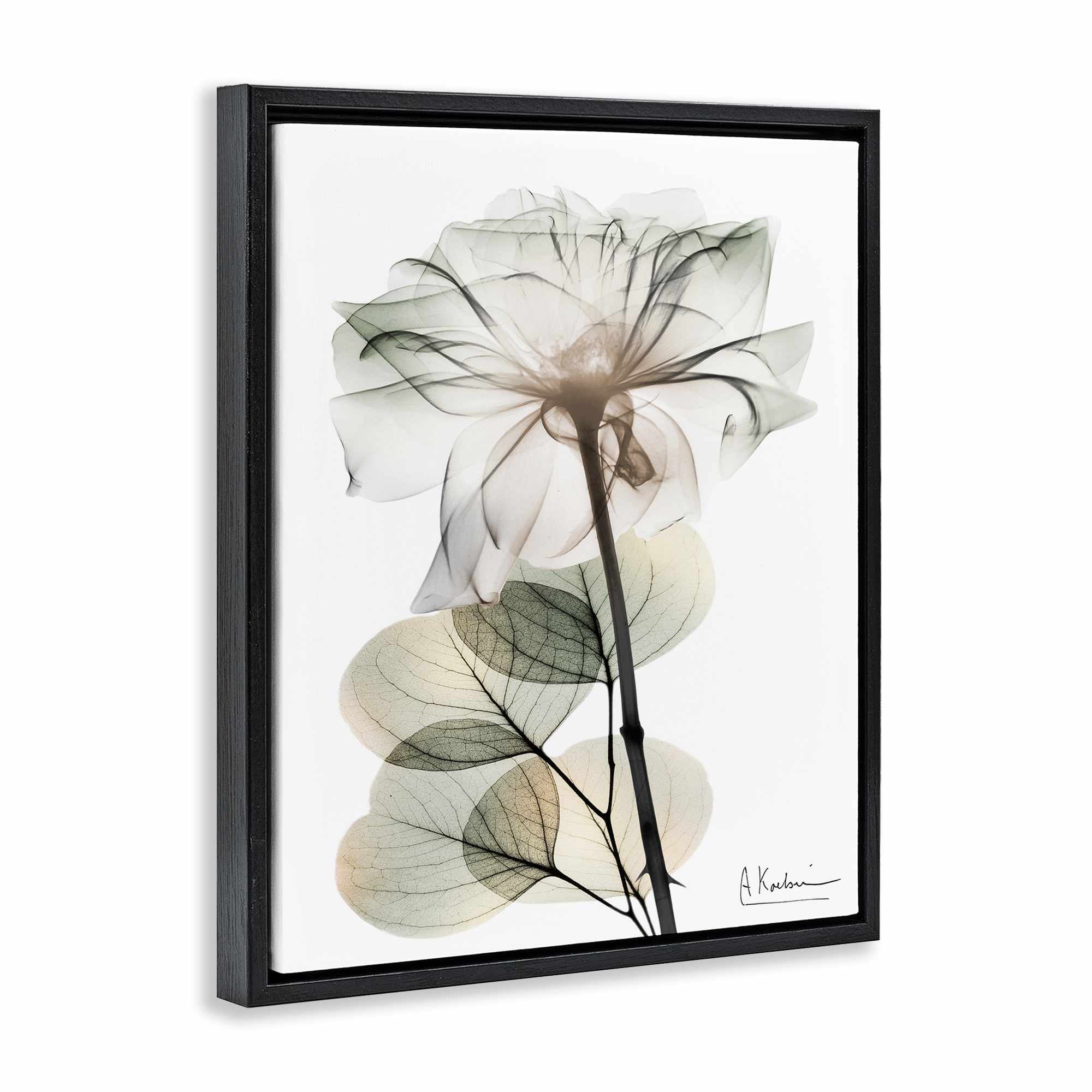 Stupell Industries BS-011-FFB-24X30 Wall-Art - View #2