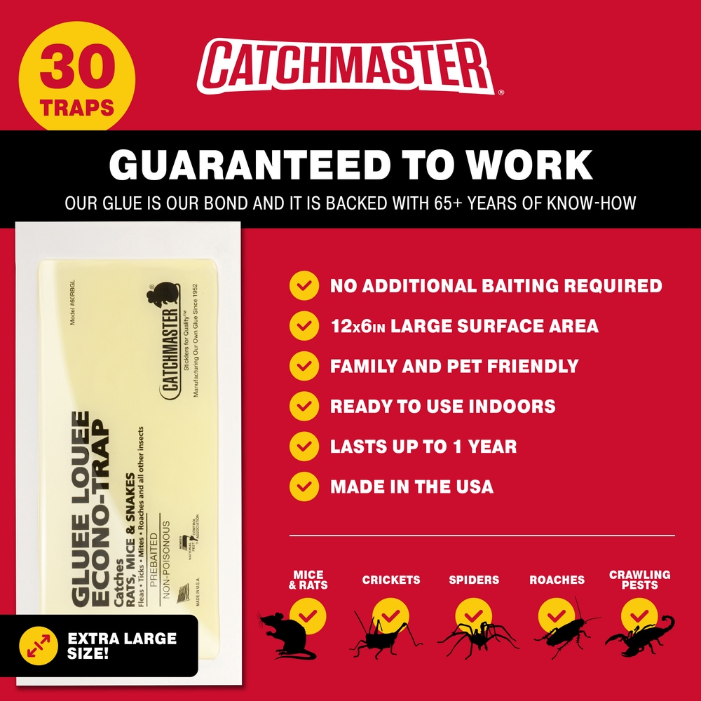 Catchmaster PRO 30-Pack Rat And Mouse Rat Traps In The Animal & Rodent ...