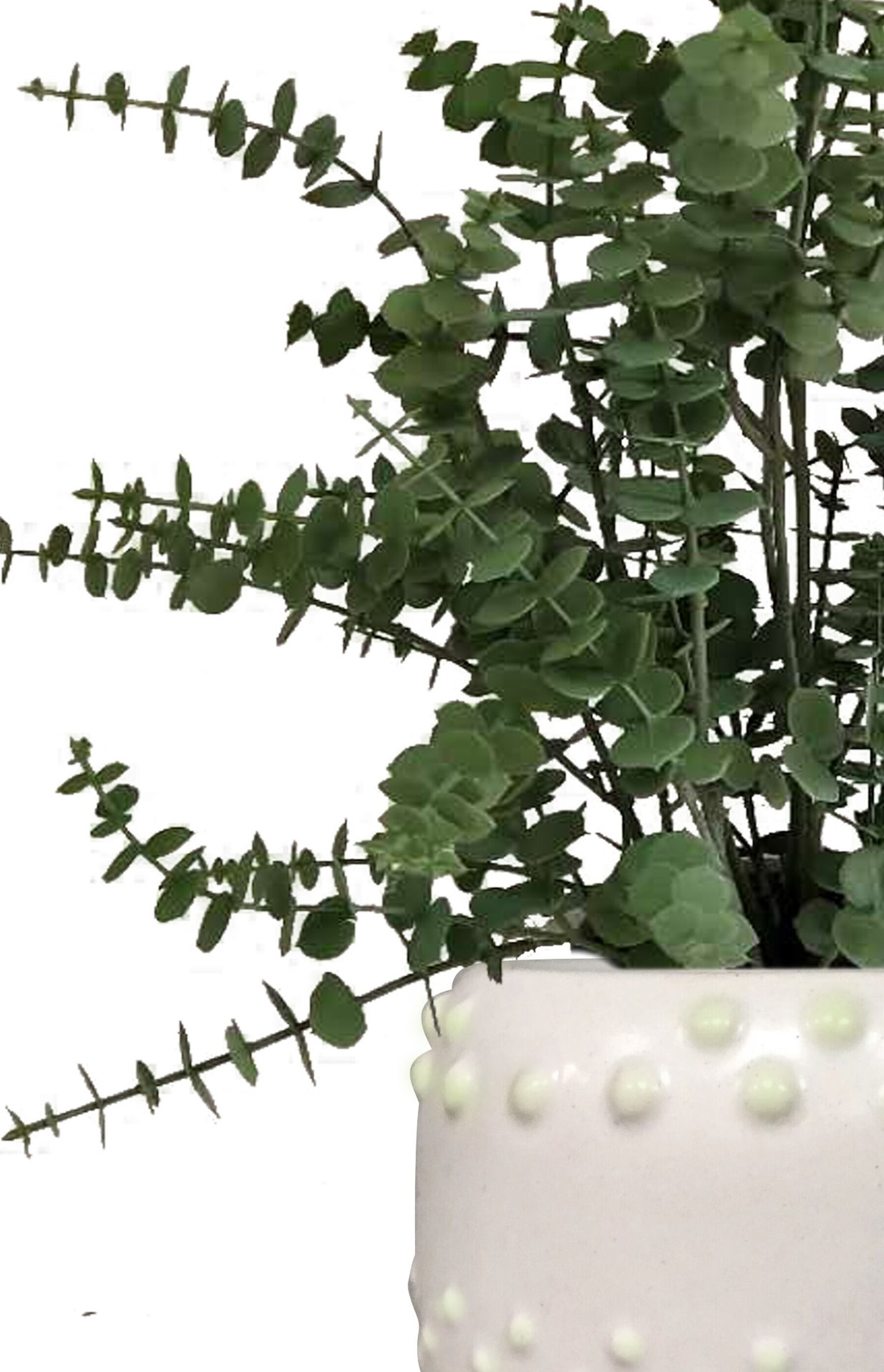 allen + roth 21LOW235 Artificial-Plants-Trees - View #8