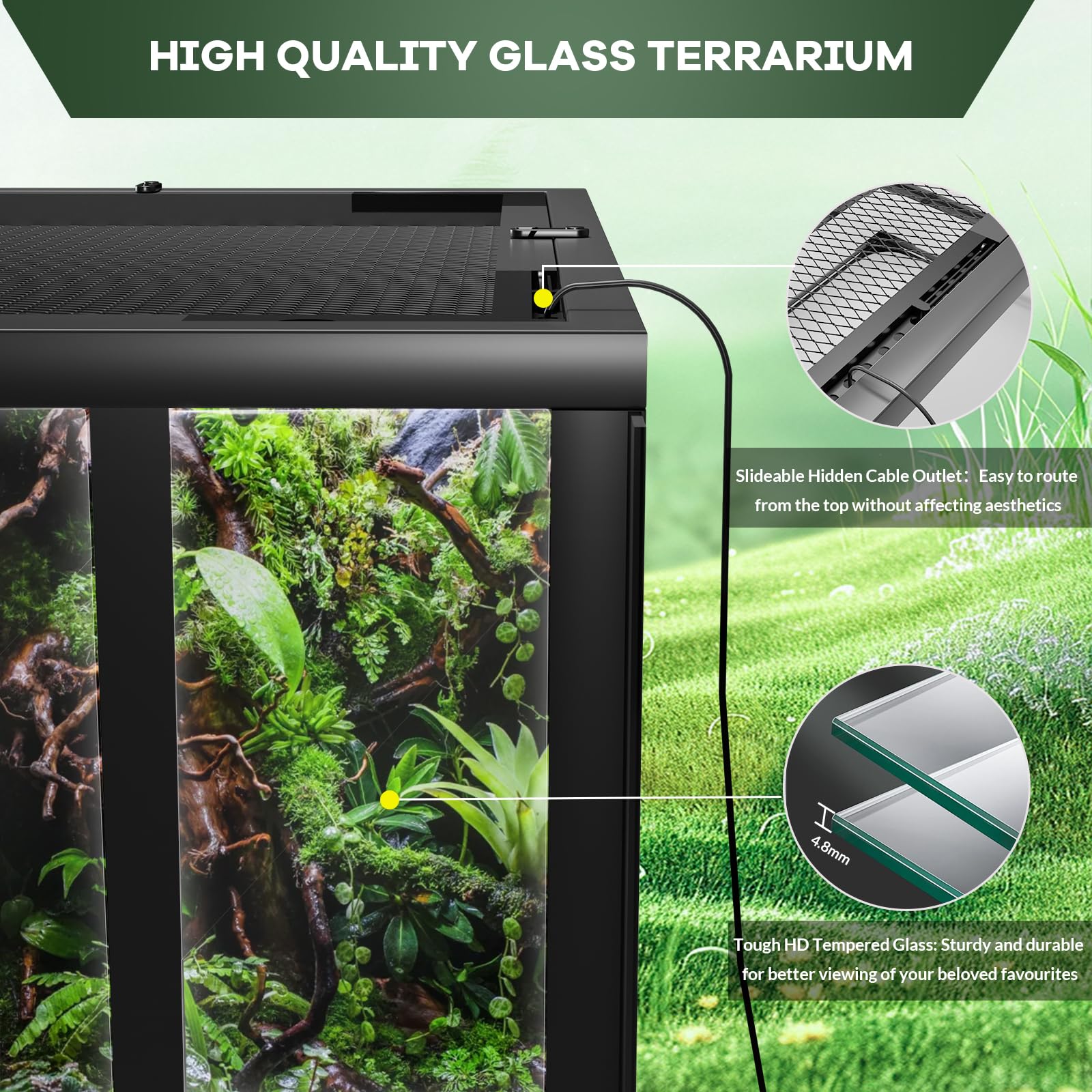 DEXSO ENCOREPHOBA10740 Terrariums-Habitats - View #4