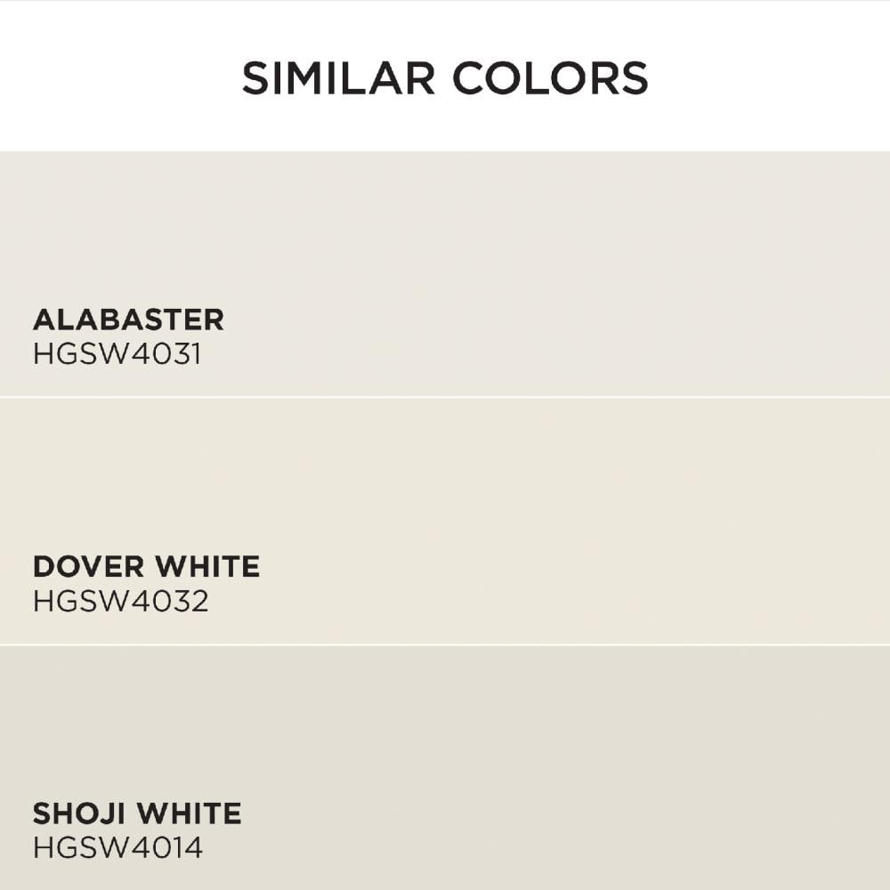 HGTV HOME by Sherwin-Williams 7002-12-2557201 Int-Ext-Paint - View #6