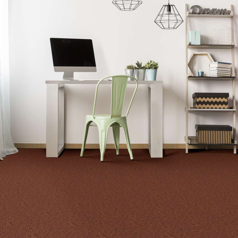 STAINMASTER 7L791-620-SAMP Carpet-Samples - View #4