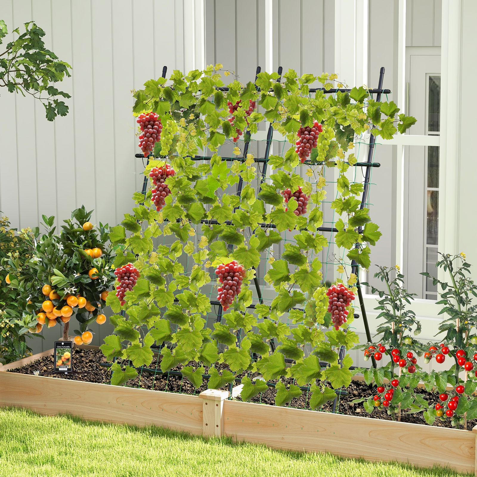  YSGT416672BK Garden-Trellis - View #4