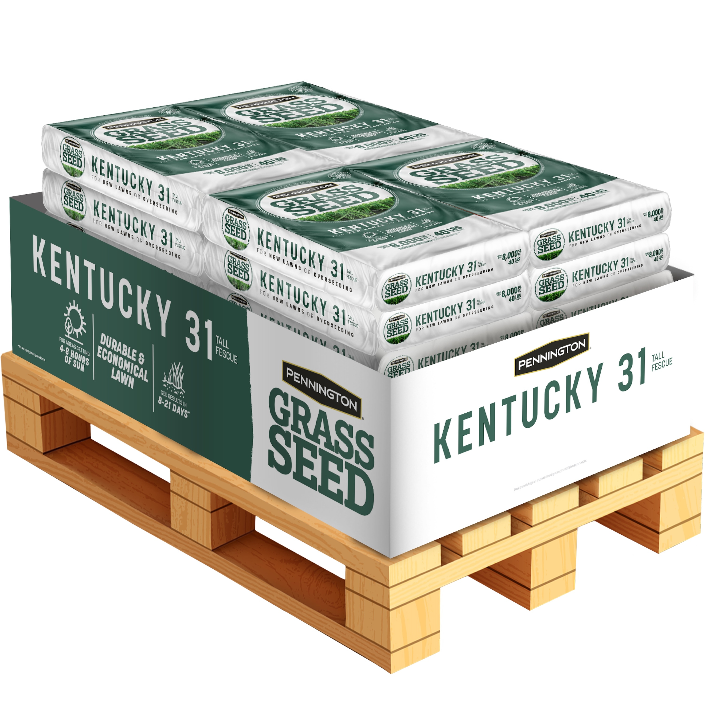Pennington 100551773 Kentucky 31 Pallet 24 -Pack 40-lb Tall fescue Grass Seed Pallet