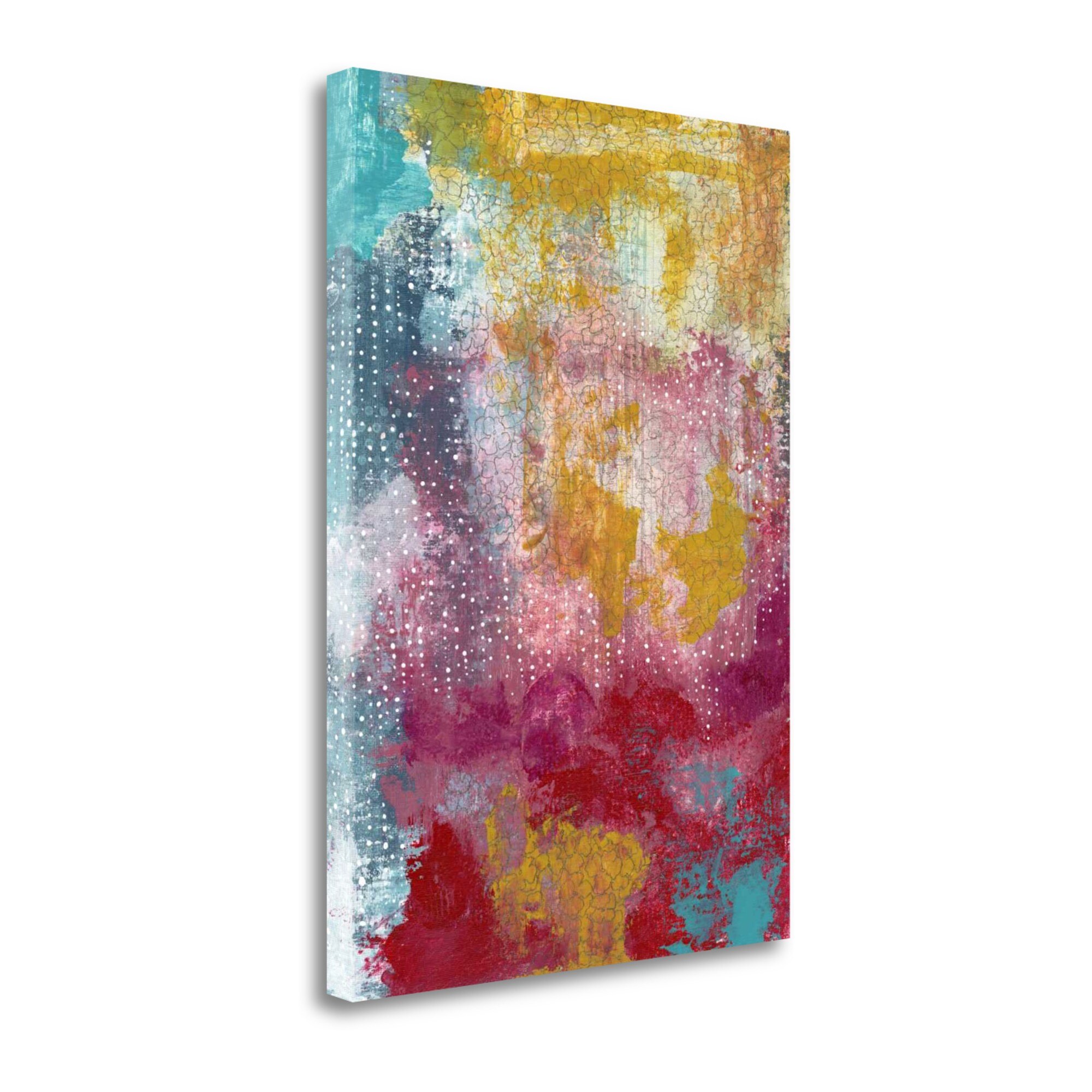 Tangletown Fine Art SBSO1249-2839C Sprinkles Abstract Sarah Ogren 39-in H x 28-in W Abstract Print on Canvas