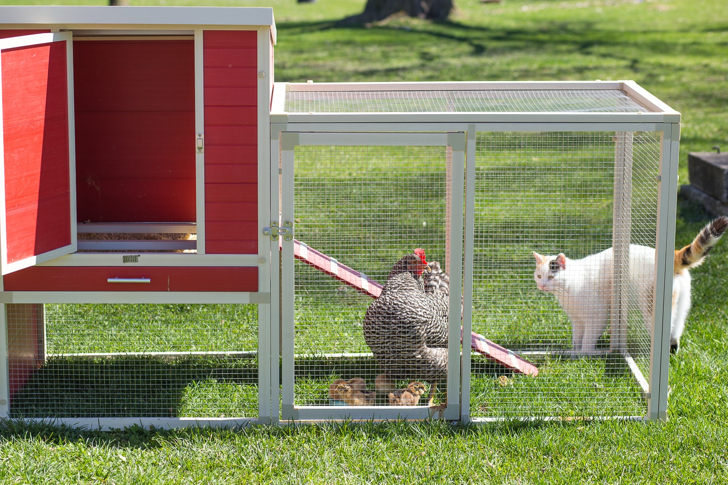Red and Beige ECOFLEX Dual-Level Chicken Coop with Stainless Steel Mesh