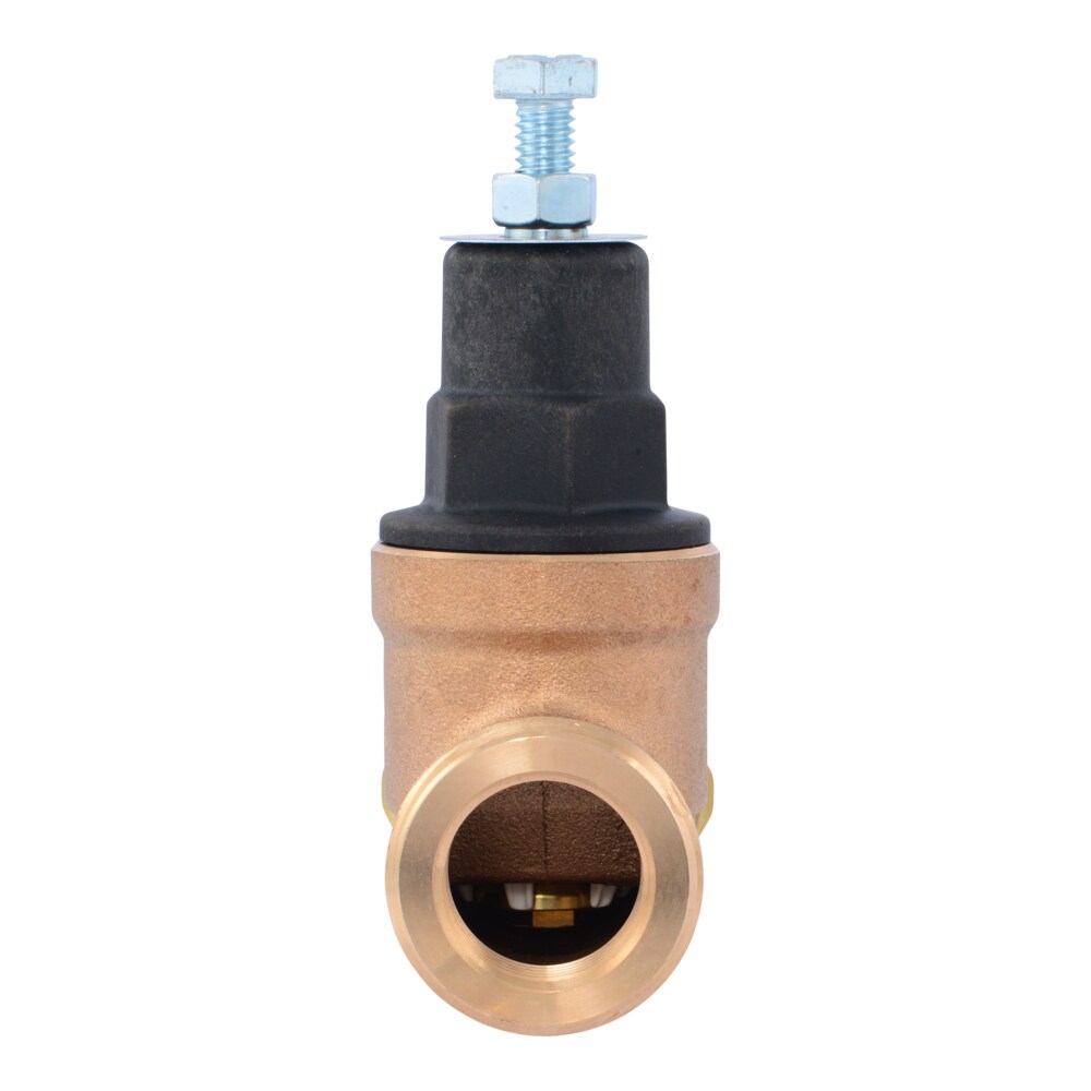 Cash Acme PVA16P-SUTH-60 Pressure-Relief-Valves-Regulators - View #2
