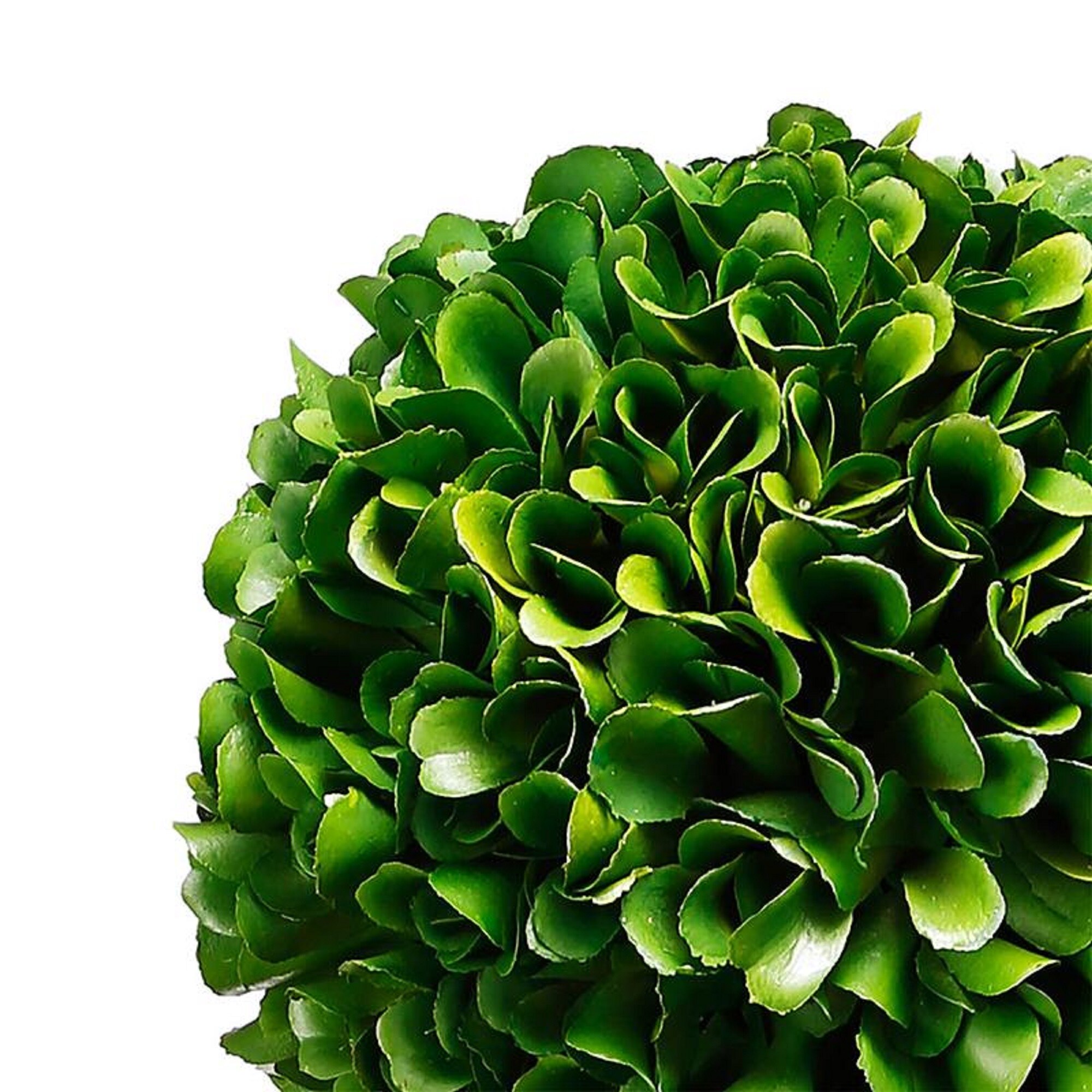 A&B Home 29392-DS Artificial-Plants-Trees - View #3