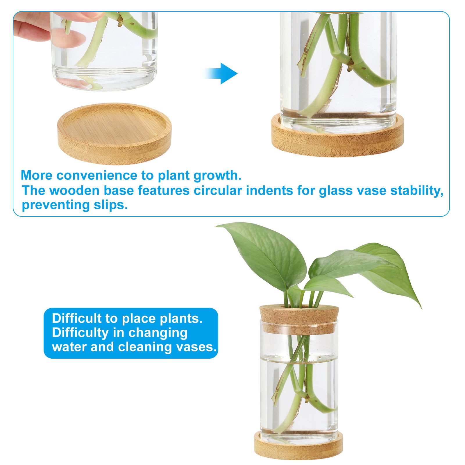 PATIKIL 0.24 x 4.33 Inch Plant Propagation Station 10pcs Plant Terrarium  Vases for Home Decoration Garden Gardening Indoor Housewarming Gifts for  Plant Lovers Women Transparent in the Pots & Planters department at