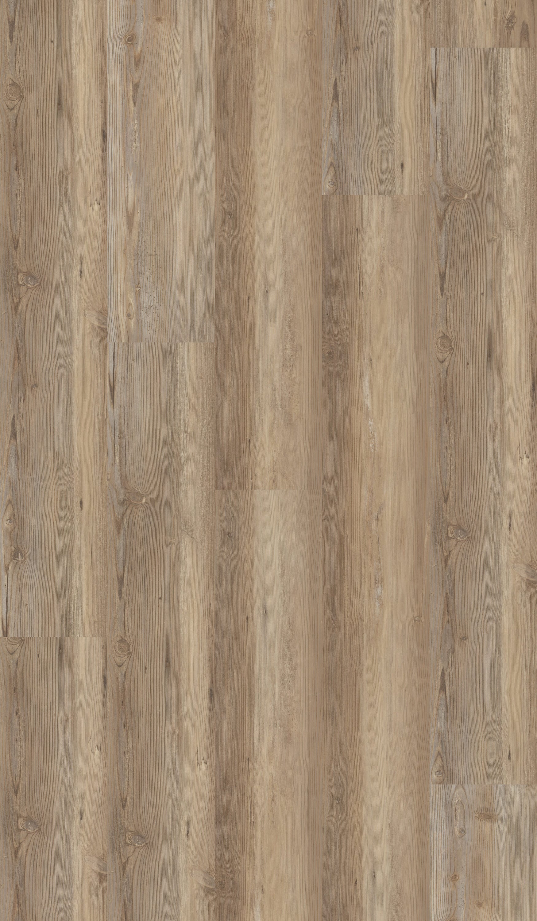 STAINMASTER PetProtect (Sample) Wendover Brown Oak Waterproof Wood Look  Interlocking Luxury Vinyl Plank in the Vinyl Flooring Samples department at