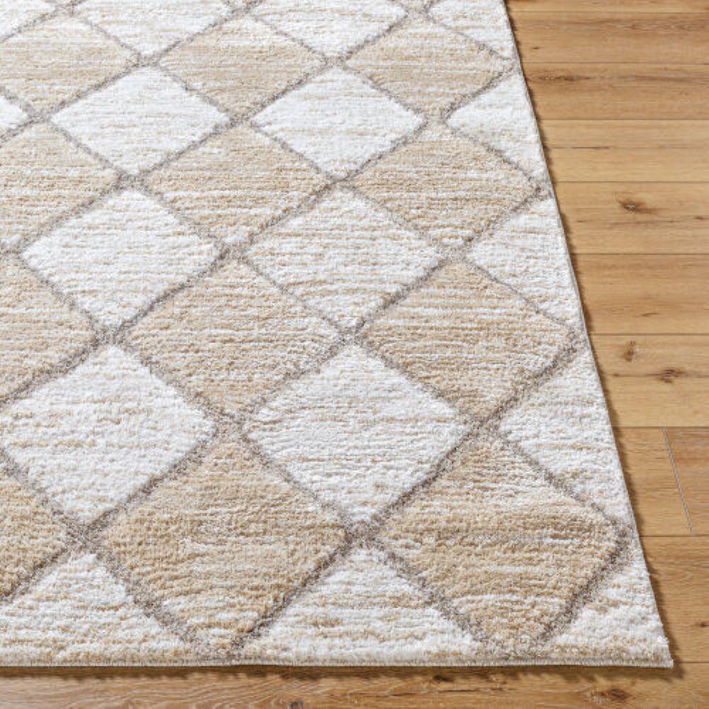 Livabliss DEL2306-537 rugs - View #3