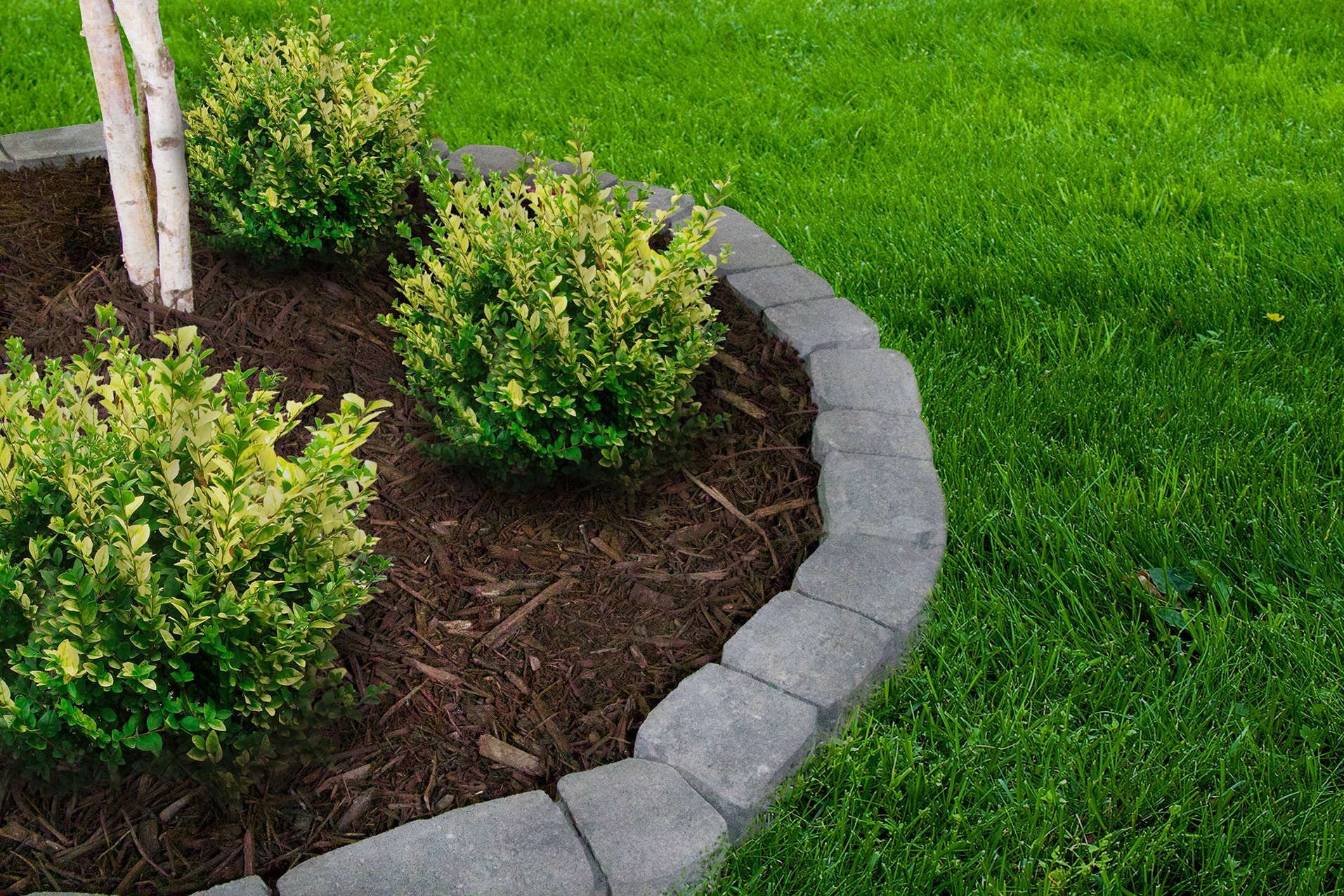 Gray Concrete Curved Edging Stone