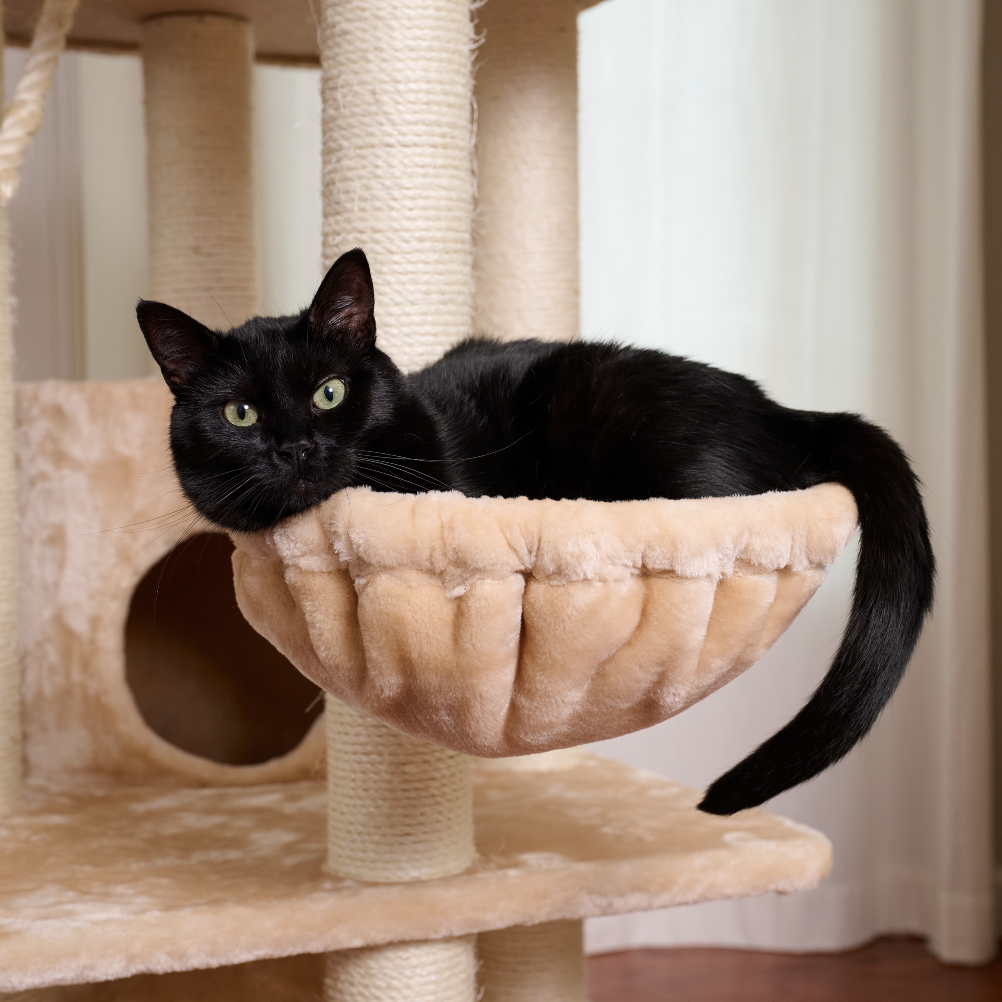 Armarkat A8402 Cat-Trees - View #8