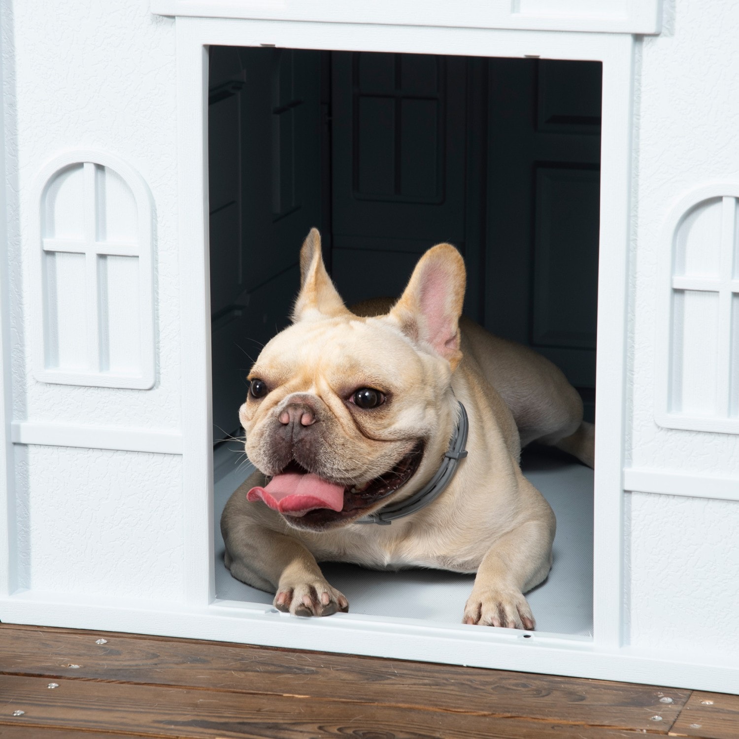 Mondawe MO-AB16324 Dog-Houses - View #7