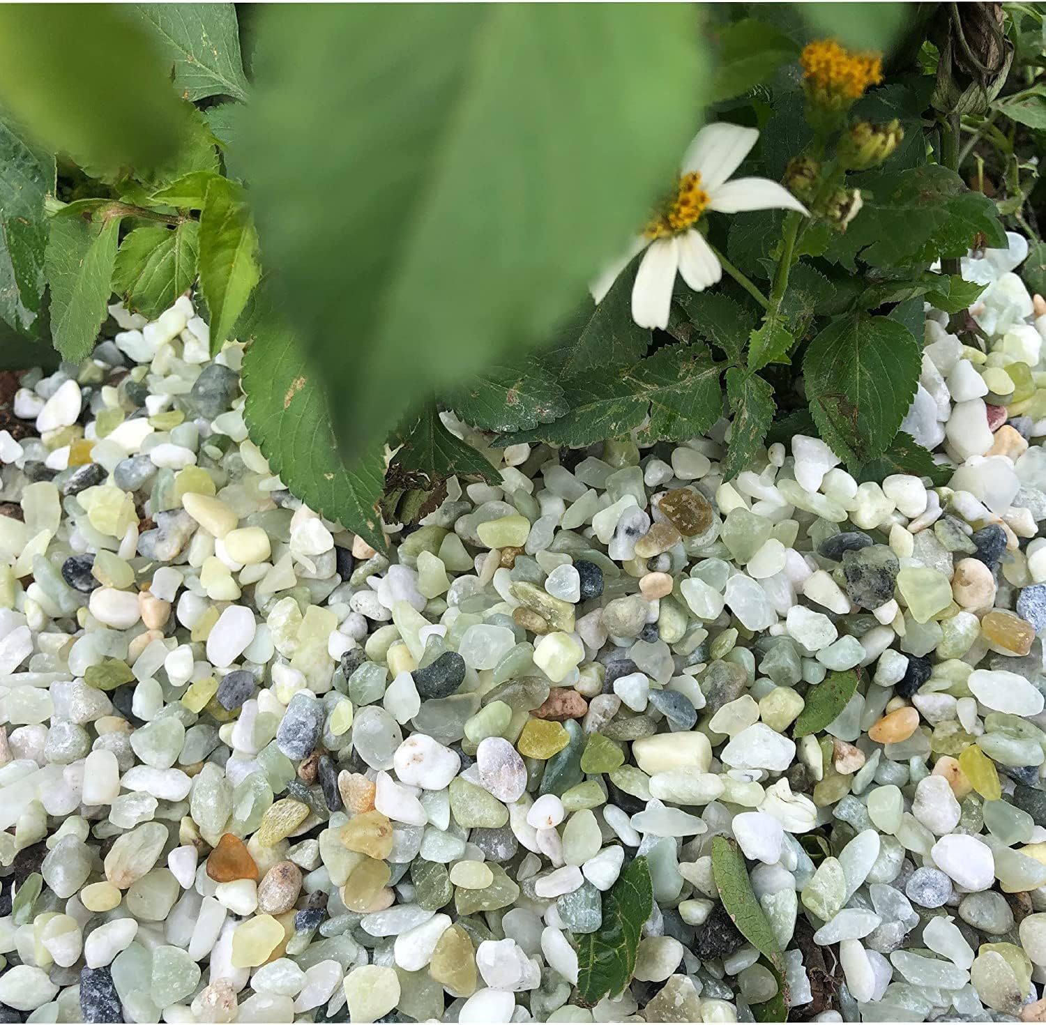 Luupatchy DQ-C-0072-AVALU Landscaping-Rock - View #3