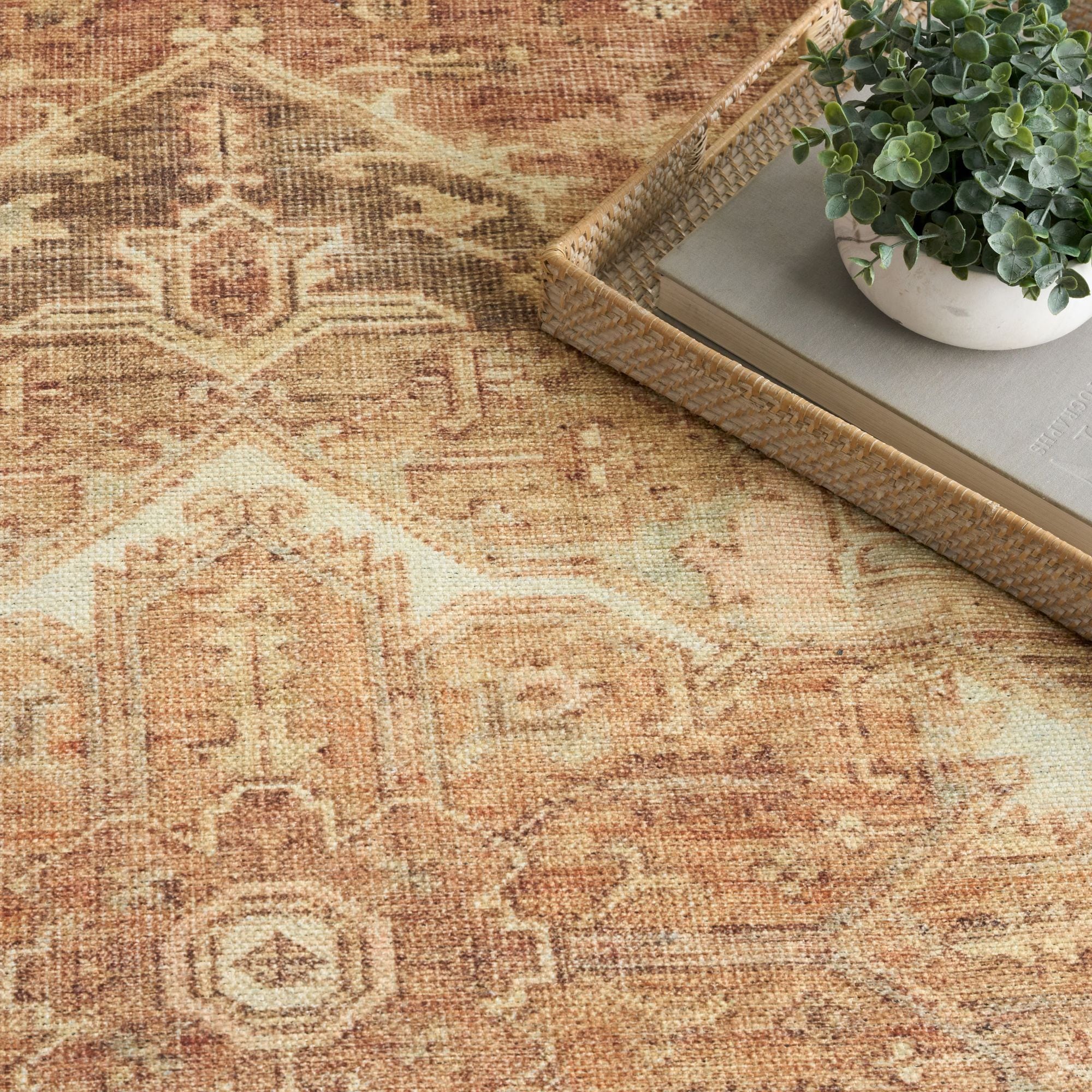 Nourison 841491155424 rugs - View #3