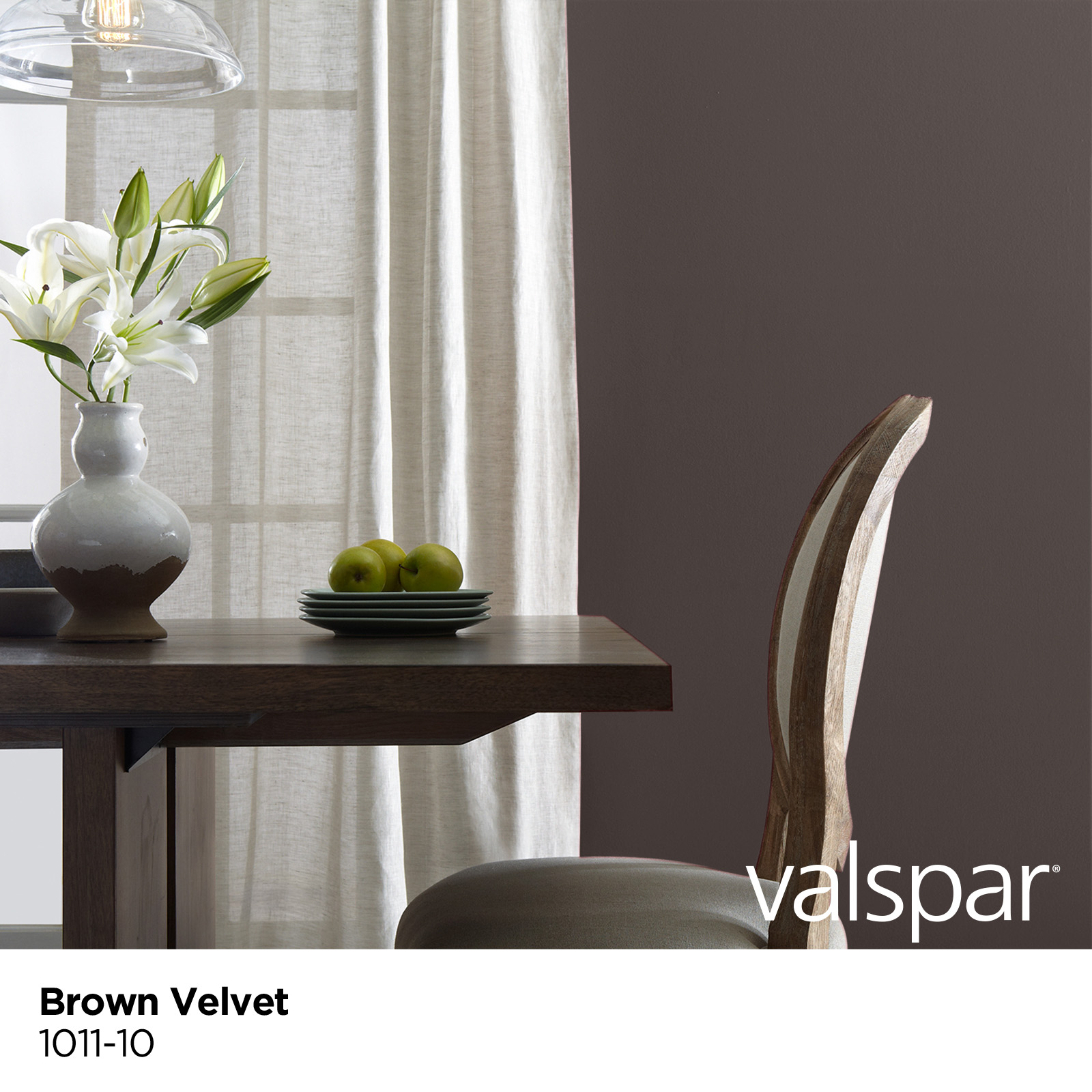 Valspar 1011-10-2916561 Int-Ext-Paint - View #3