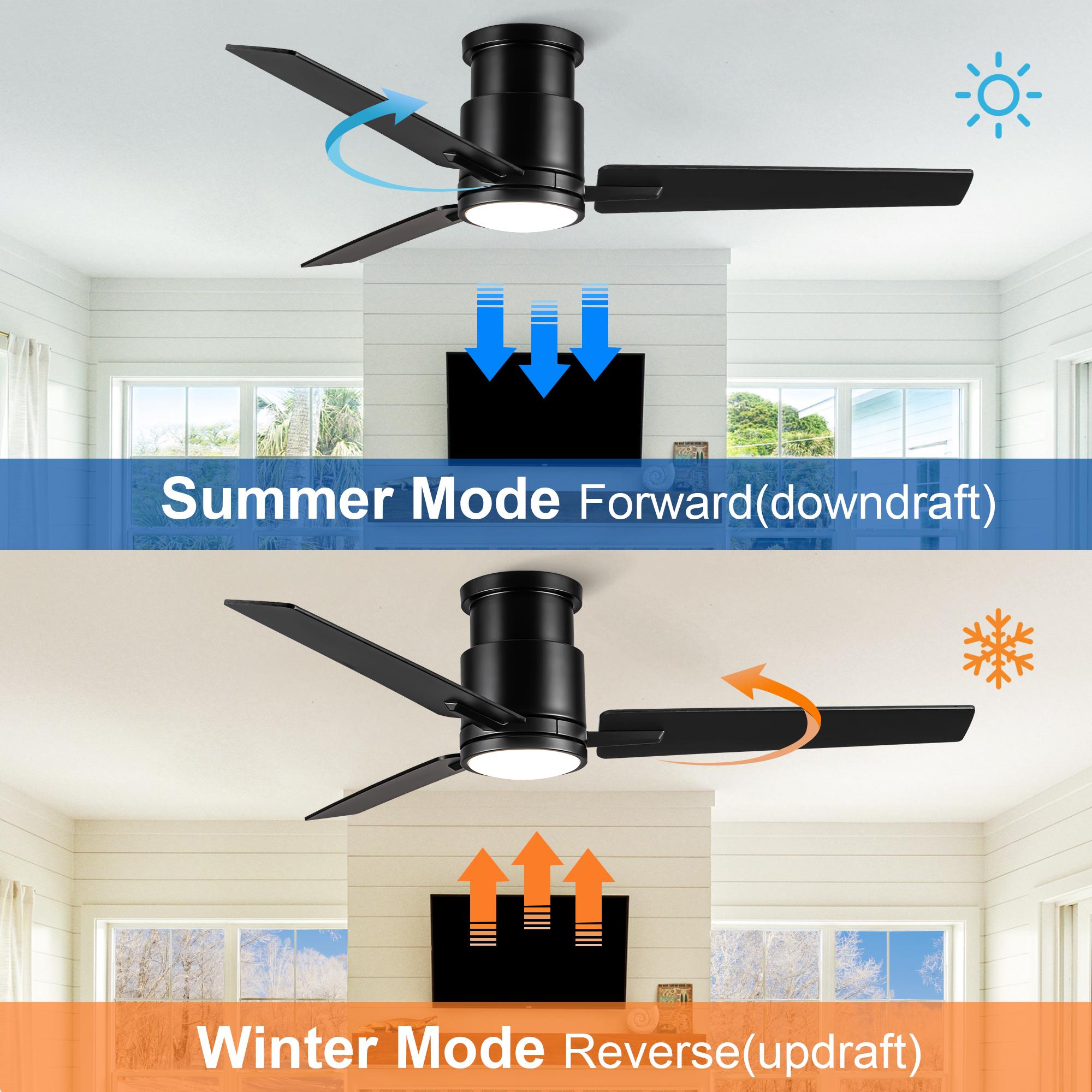 RCCFBHM RCCFBHM-FSFF66017 Ceiling-Fans - View #5