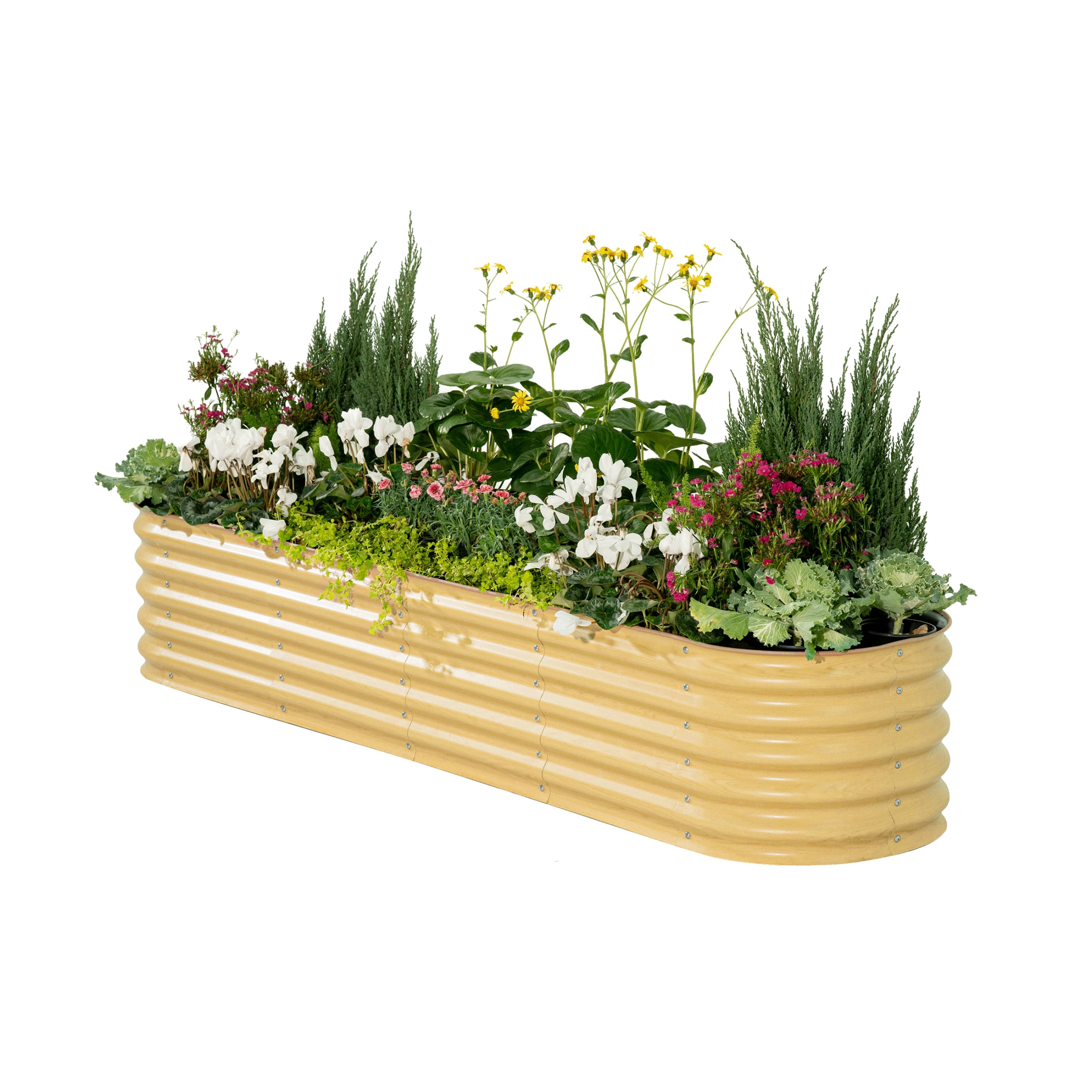 Vego Garden 32-cu ft 42-in W x 78-in L x 17-in H Sunlit Oak Galvanized Metal Raised Garden Bed #VB9N117SO