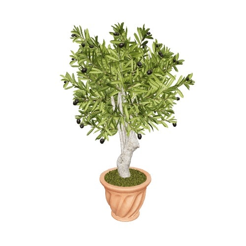 Three-dimensional representation of the product