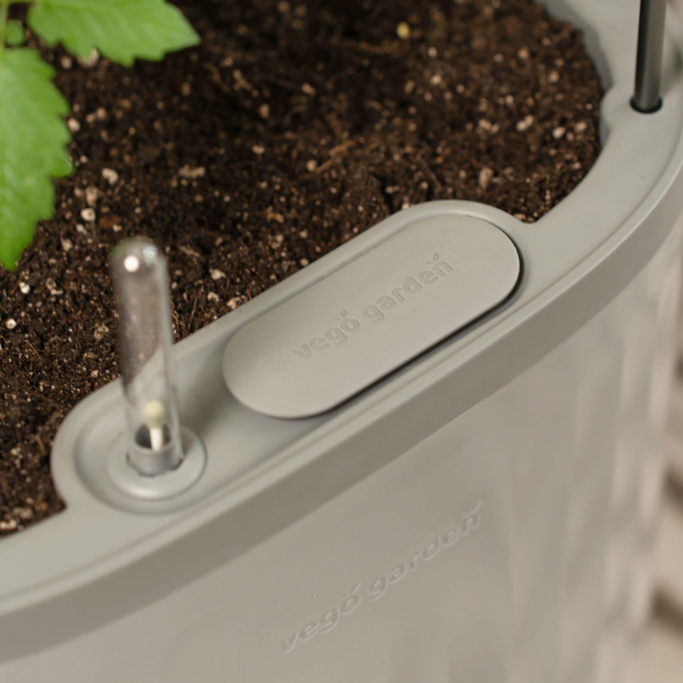 Vego Garden VPTPGY Planter-Window-Box - View #7