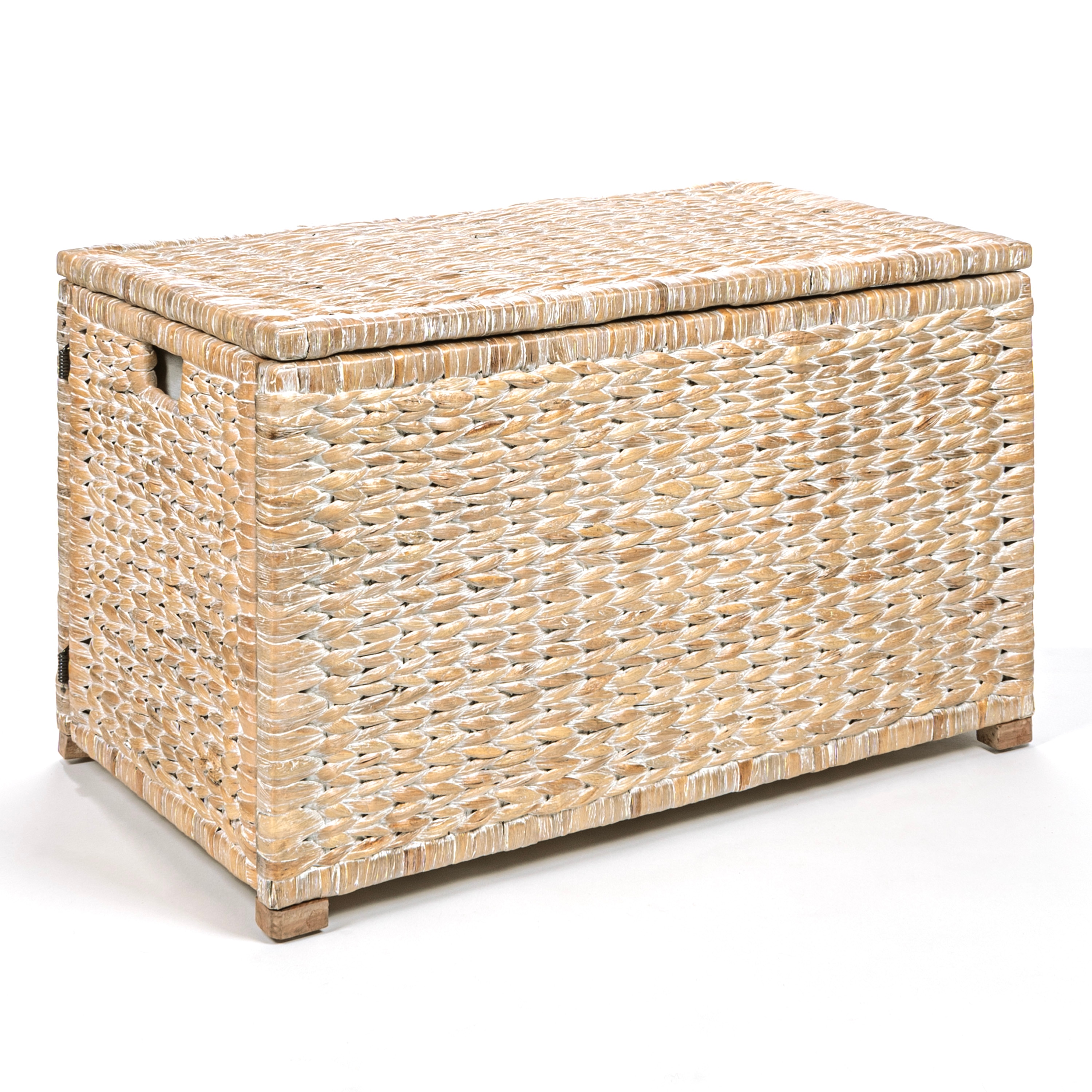 Storage Trunks Color/Finish Family Off-white