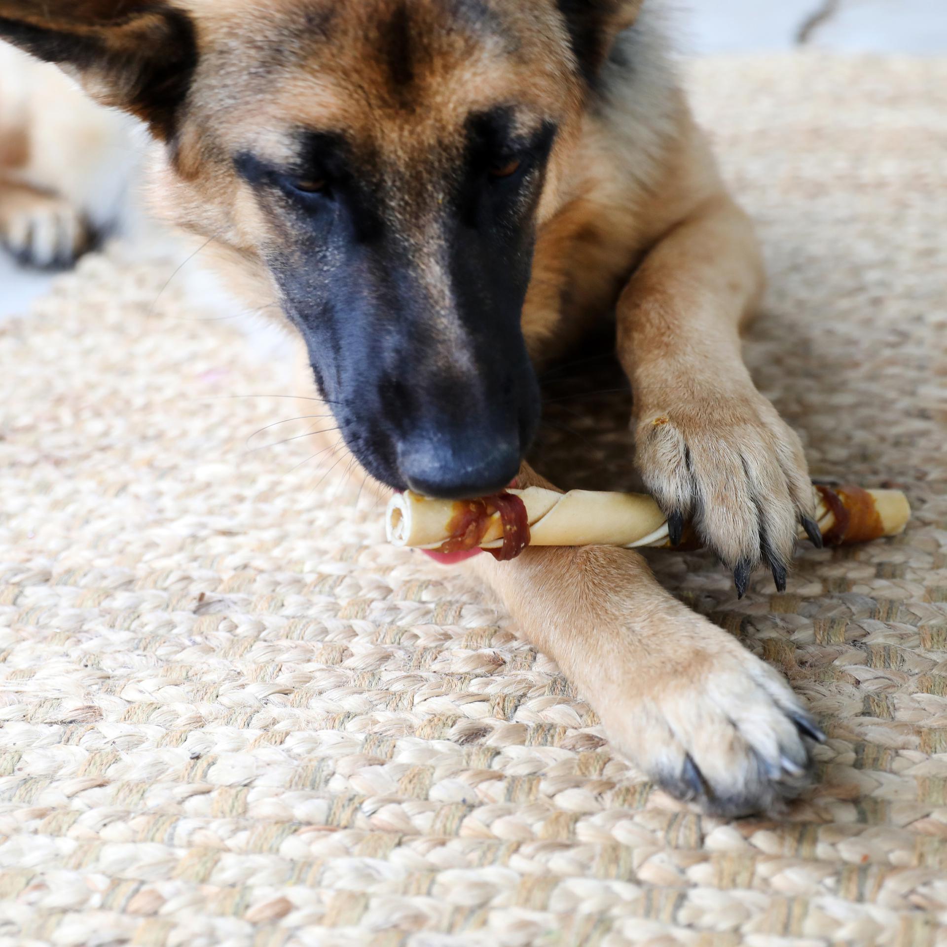 WILD EATS 44016R Dog-Treats - View #5