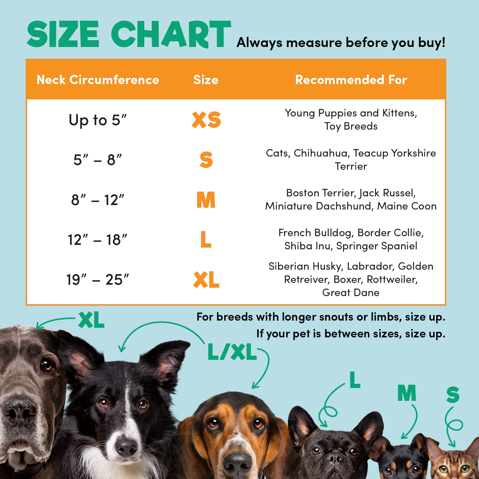 Bencmate BNCDFHES01 Pet-Training-Collars - View #5