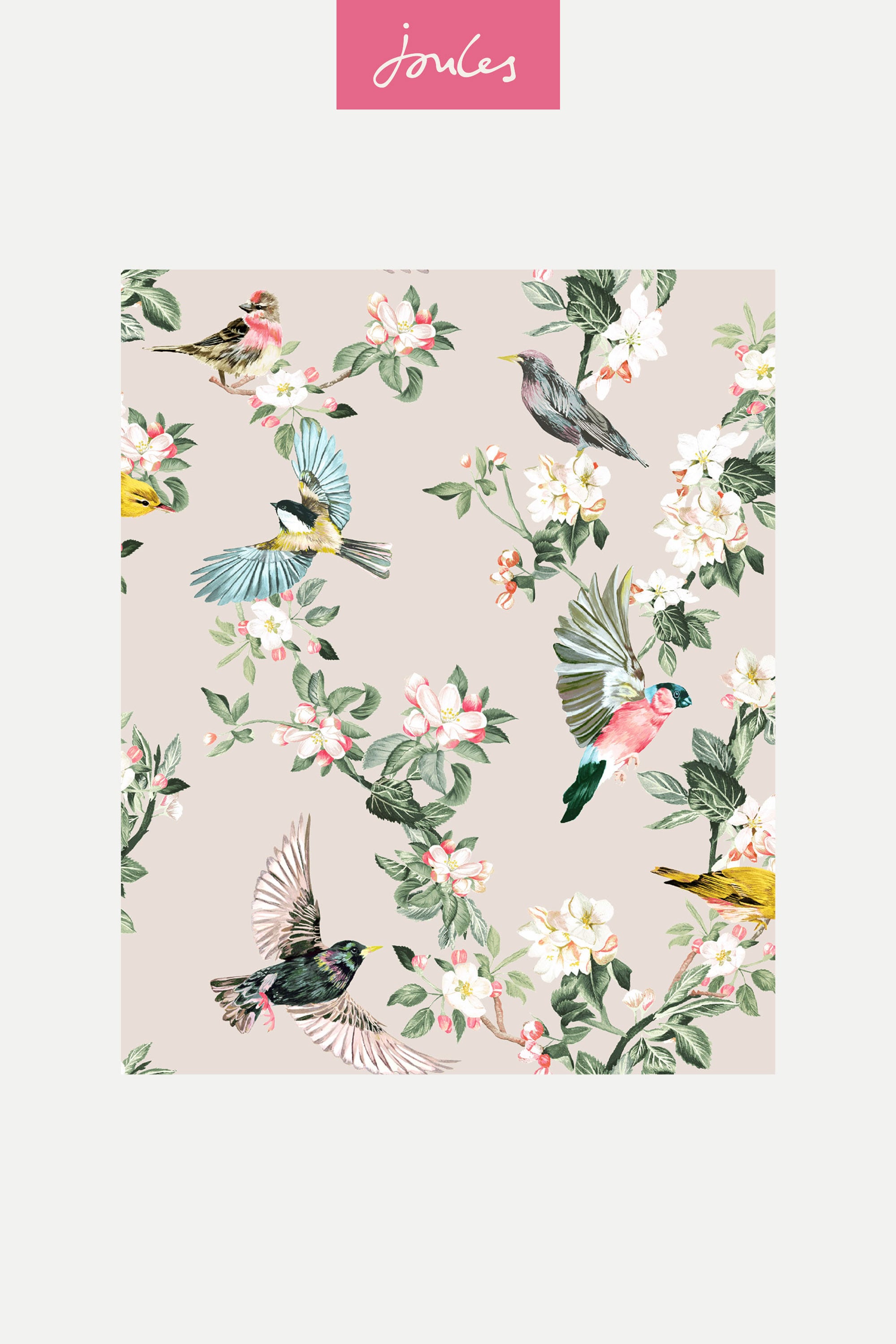 Hand-Painted Garden Birds Floral Wallpaper in Warm Oaty Brown
