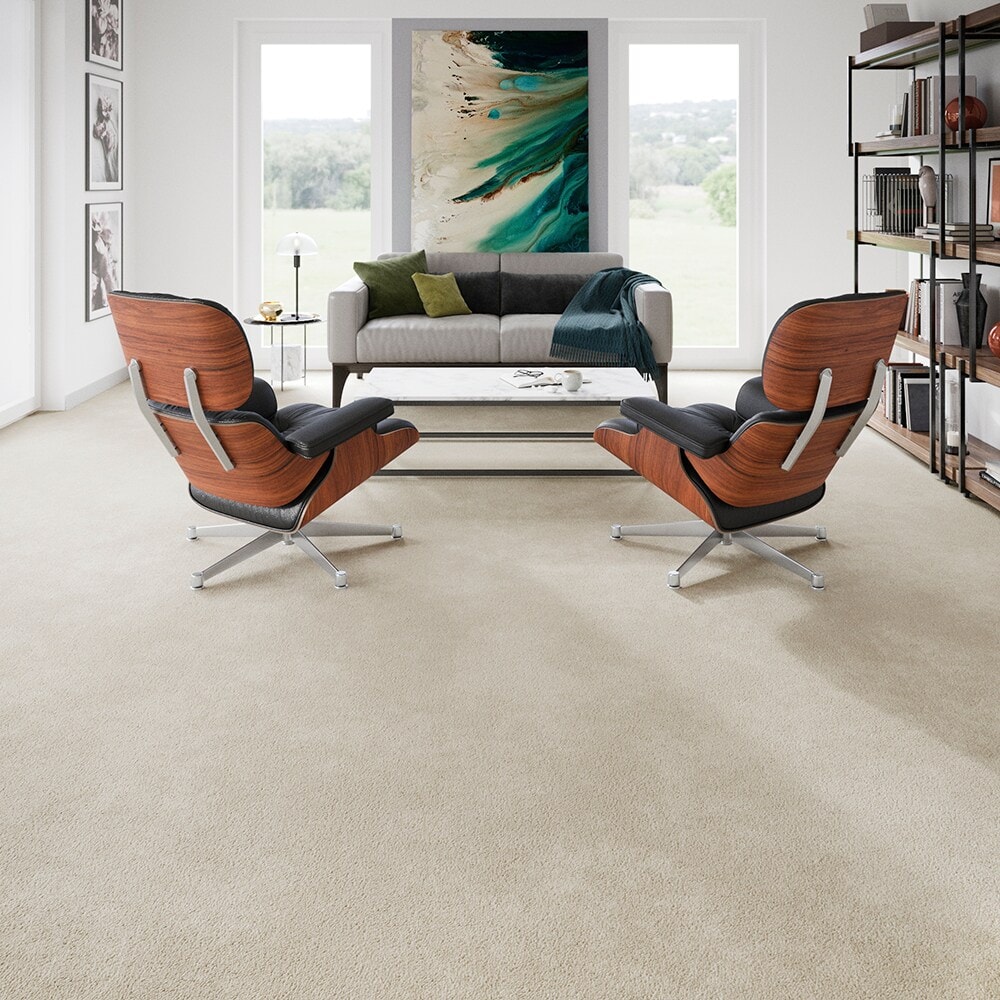 STAINMASTER PetProtect SS009-L004-0808 Carpet-Samples - View #5