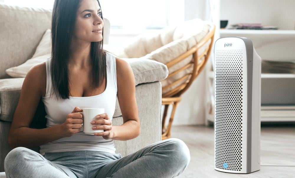 Pure zone elite 2024 air purifier