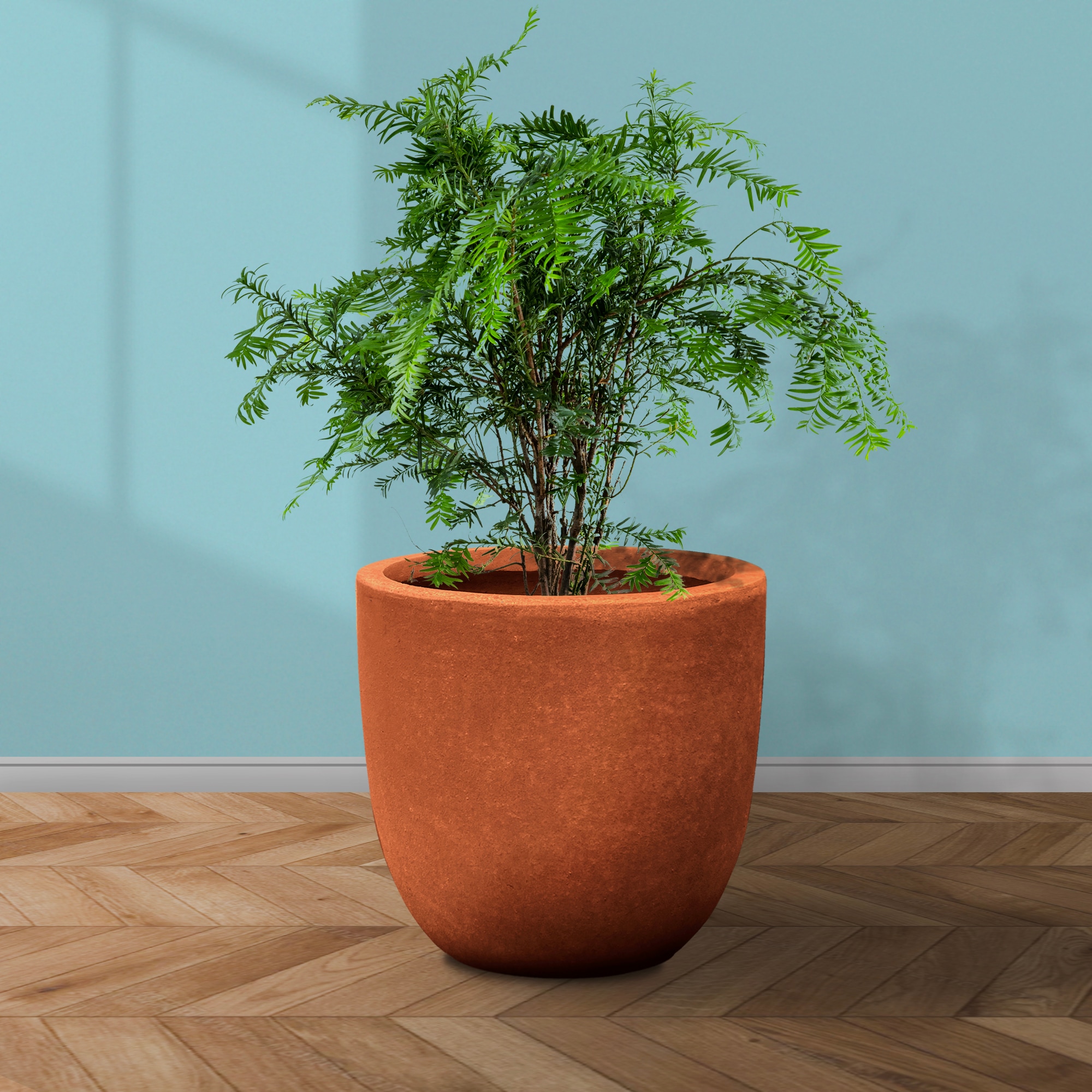 KANTE RC0119B-C60121 Planter-Window-Box - View #3
