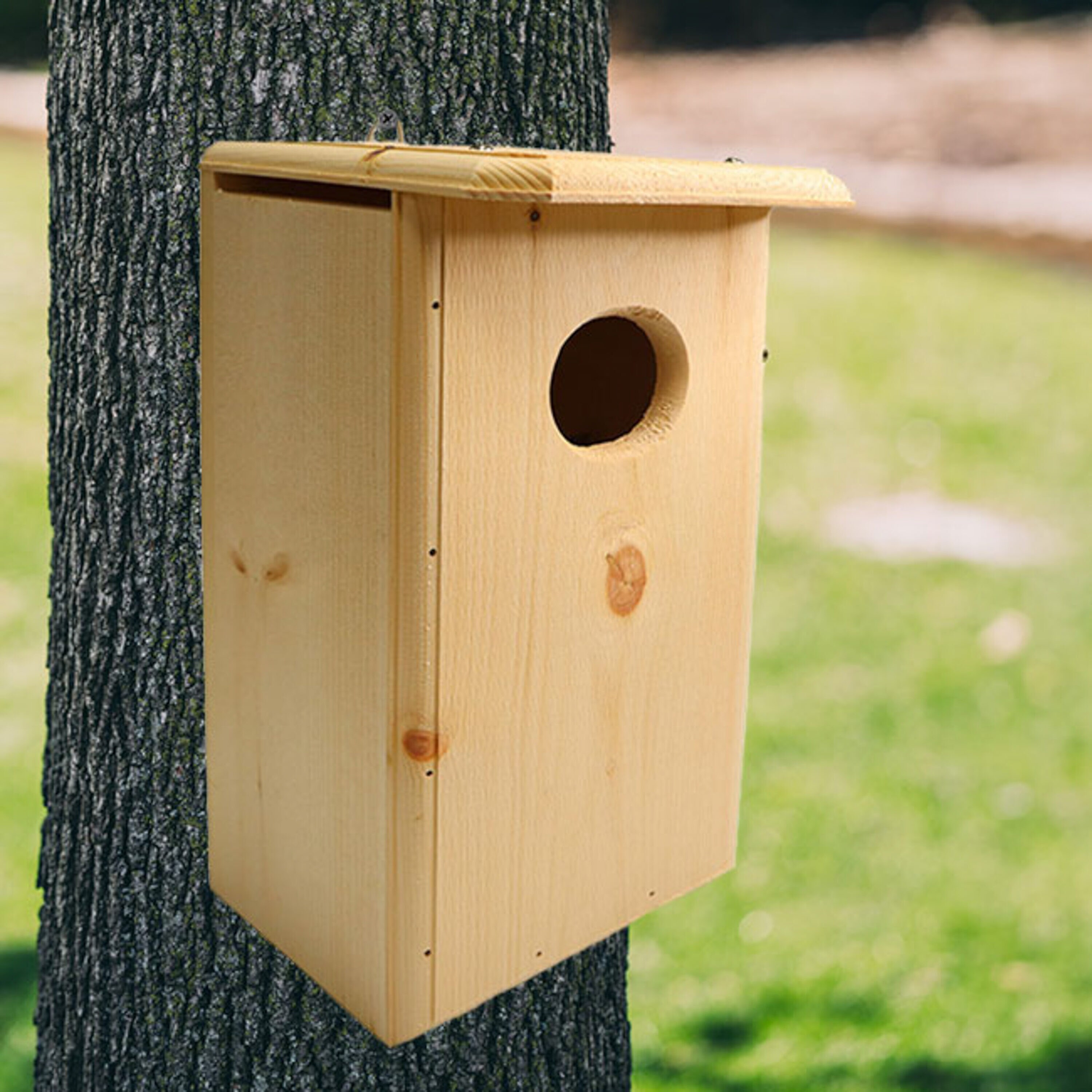 Coveside Conservation COV-10150 17.625-Inches H Natural Wood Chickadees Bird house accessories Predator Proof Bird House