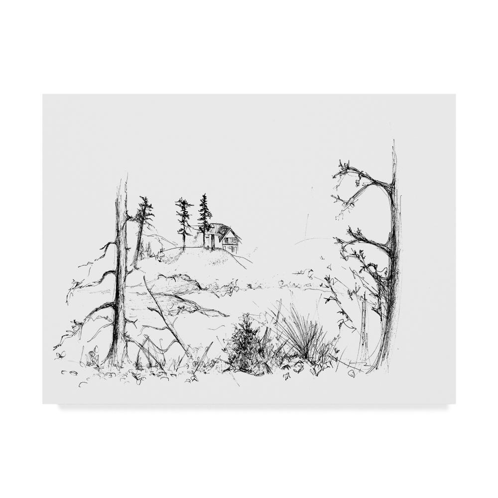 Trademark Fine Art ALI43795-C2432GG Framed 24-in H x 32-in W Landscape Print on Canvas