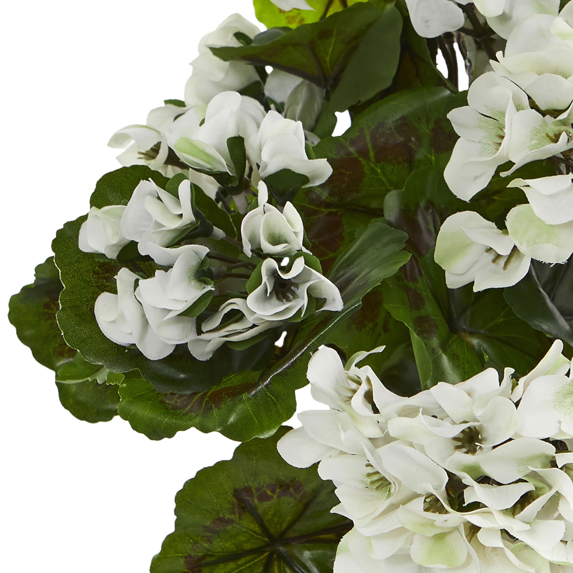 Midsized White Plastic Outdoor Potted Geranium Arrangement Set