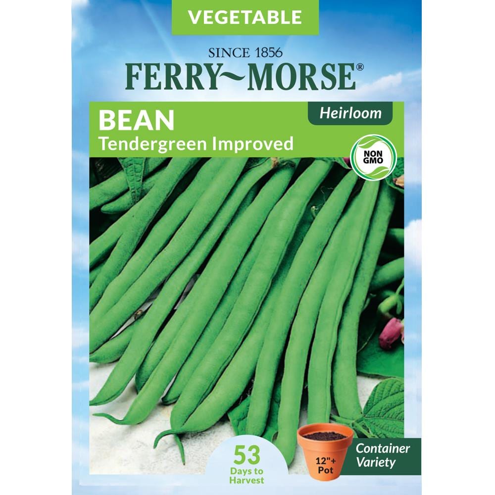 Ferry-Morse 48-Gram Bean Tendergreen Improved Heirloom Vegetable (Seed ...