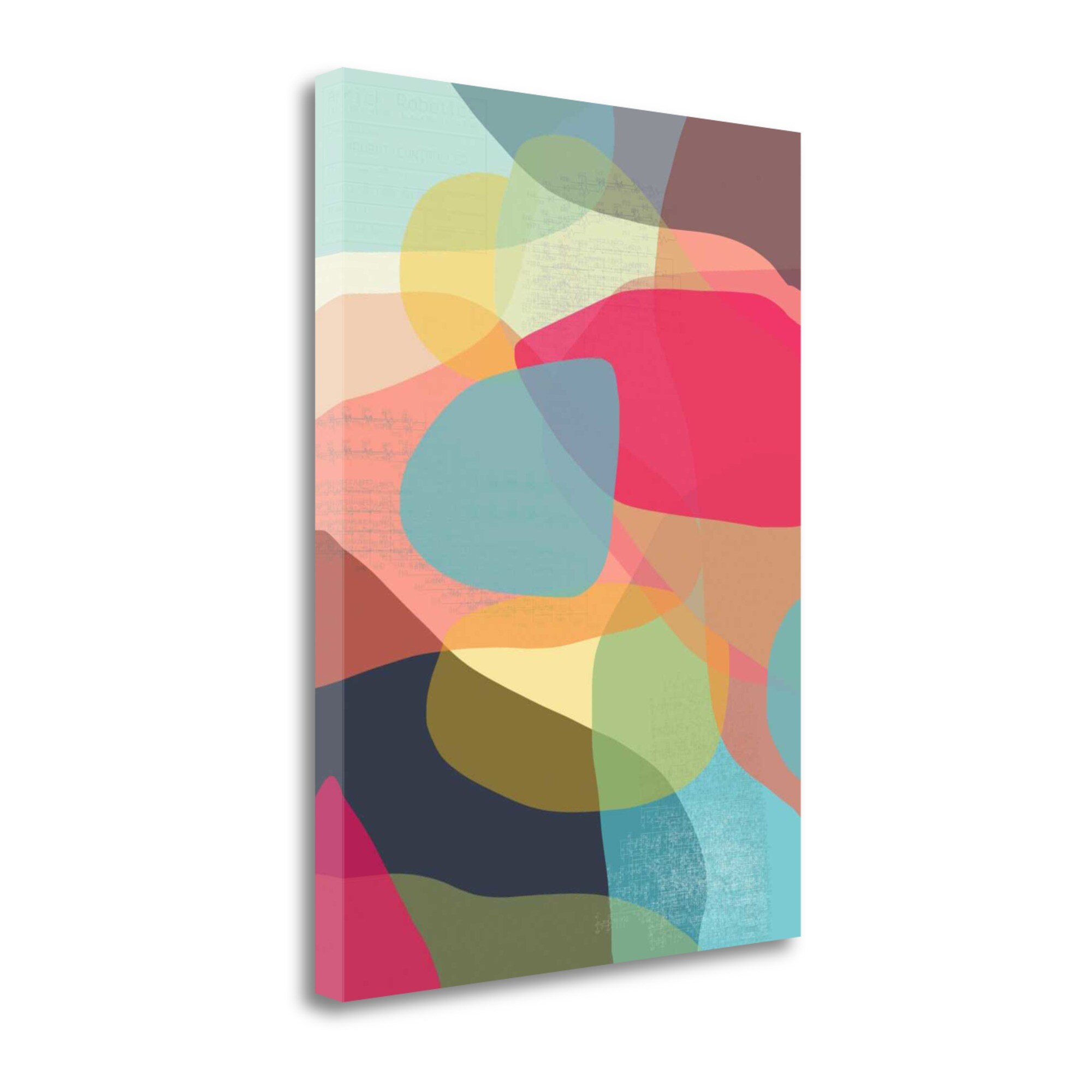 Tangletown Fine Art ICW711D-2432C Layered Earth One Jan Weiss 32-in H x 24-in W Abstract Print on Canvas