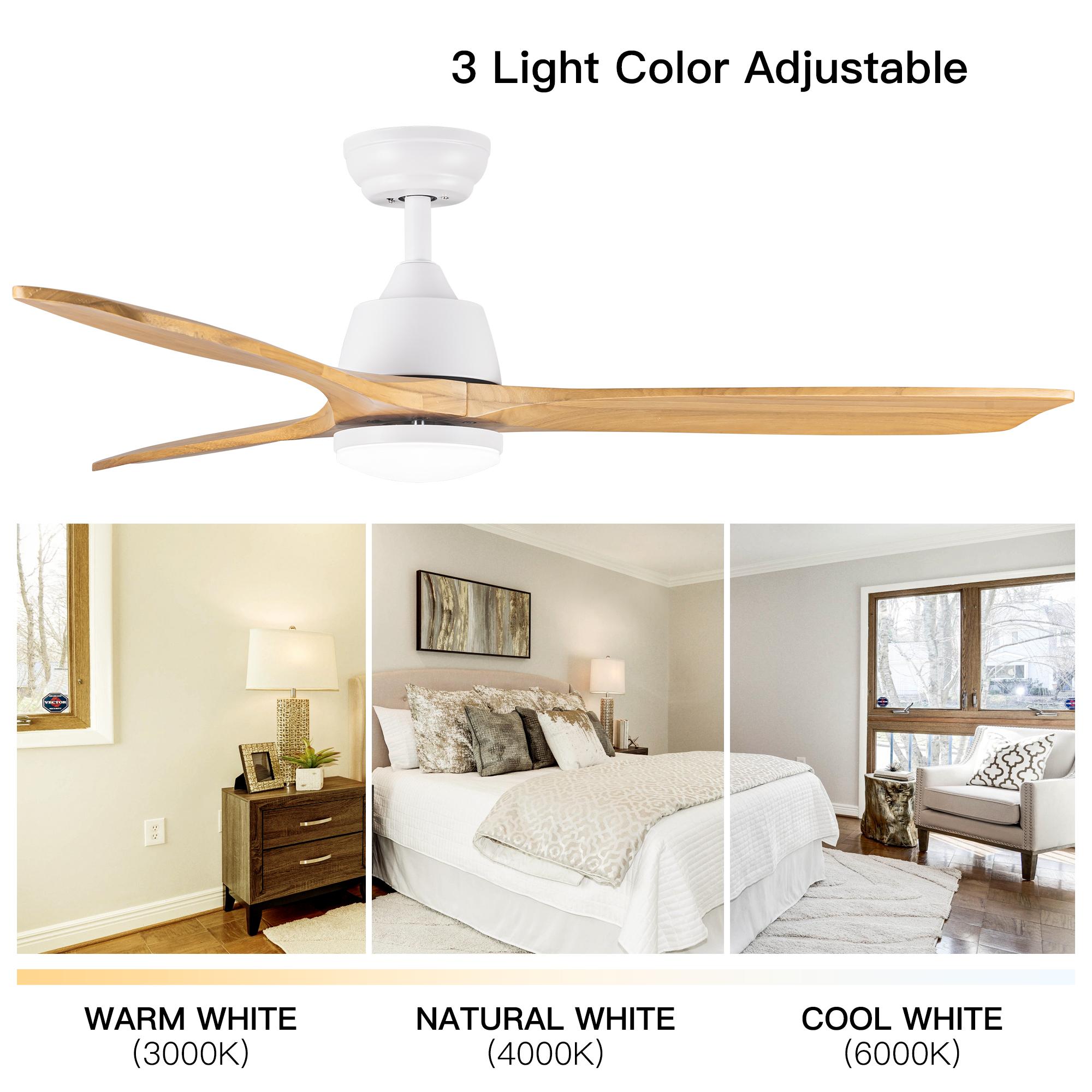 Flynama L-79929 Ceiling-Fans - View #3