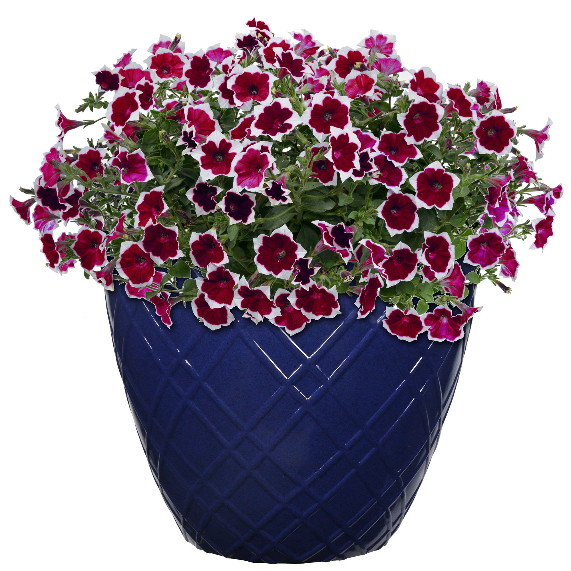 L & G Solutions PLC4516PBC Planter-Window-Box - View #3