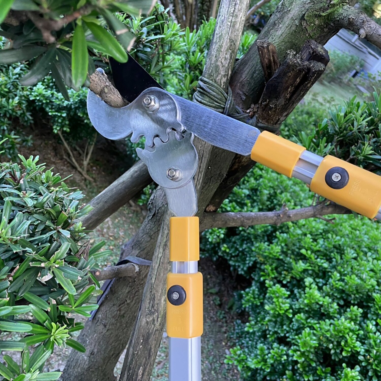 Centurion 76 Speciality-Garden-Hand-Tools - View #11