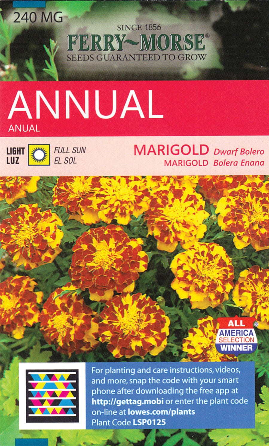 Ferry-Morse Marigold Dwarf Bolero Seeds at Lowes.com