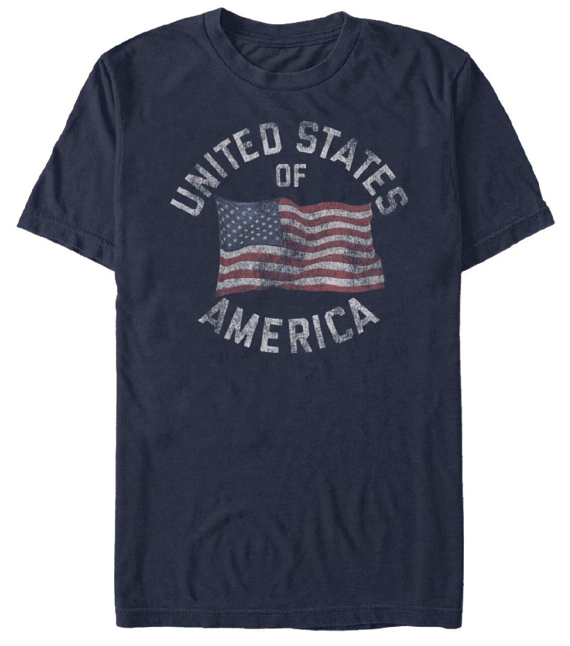  00195566570583 Men's Blue Knit Short sleeve Graphic T-shirt ( Large )