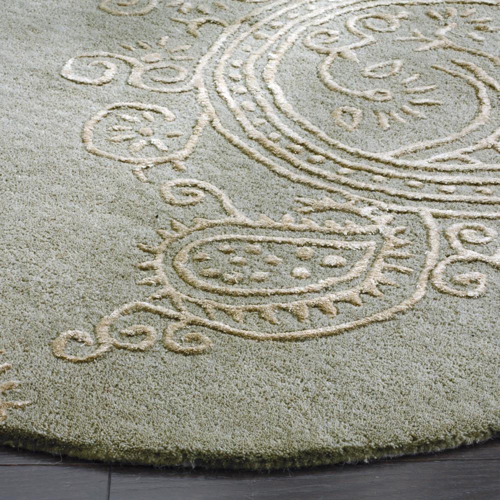 Safavieh BEL153C-5R rugs - View #3