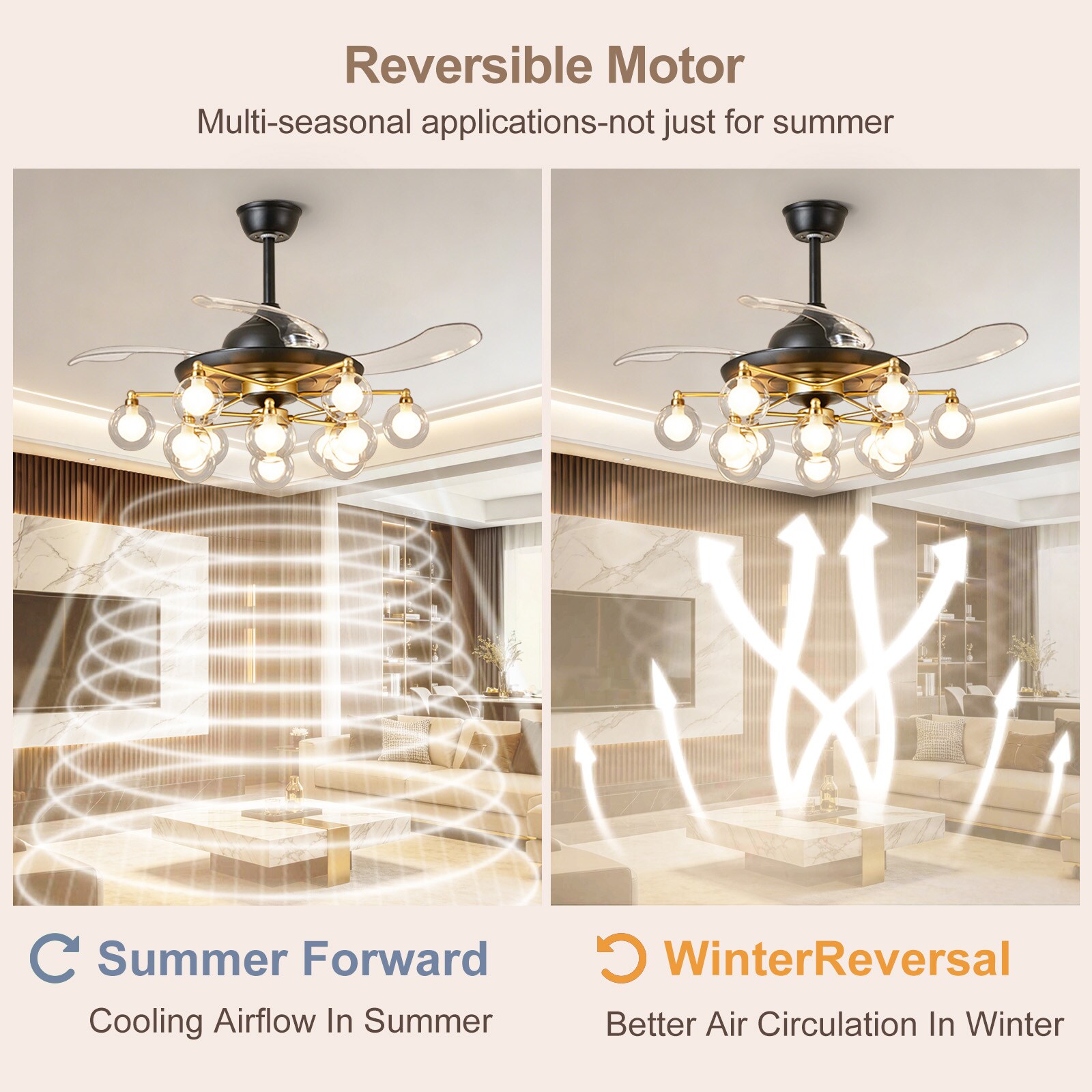 Dovanpaul 88-48-12BG Ceiling-Fans - View #6