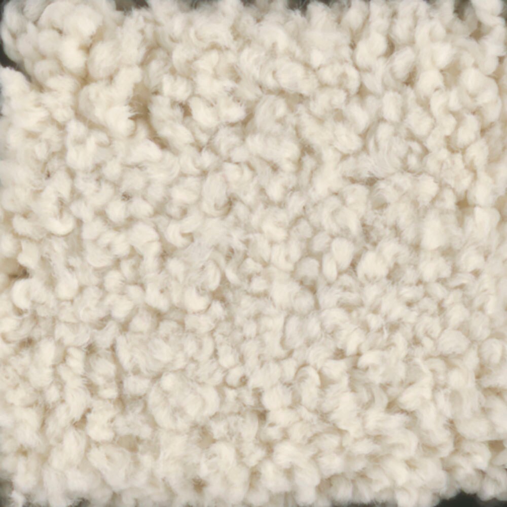 STAINMASTER 7L61100102 Signature Subtle Beauty 2 Hominy Textured Interior Carpet