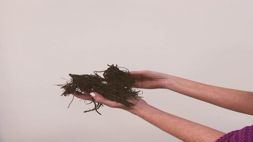 A thumbnail for the video